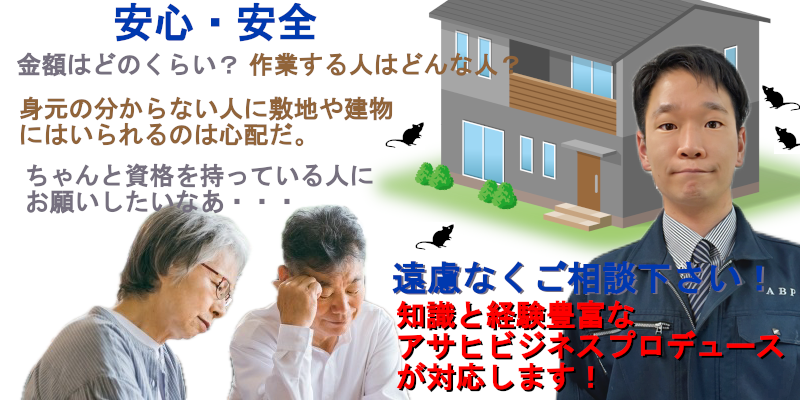 安心なネズミ駆除