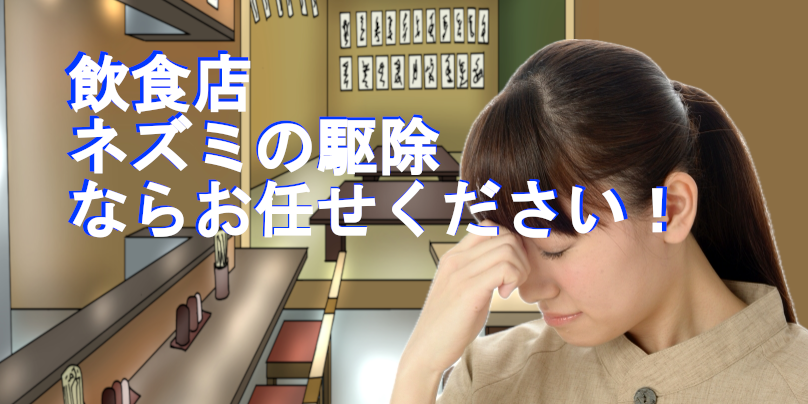 ネズミ駆除業者ならアサヒビジネスプロデュース