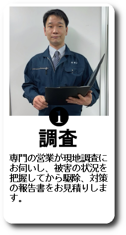 調査