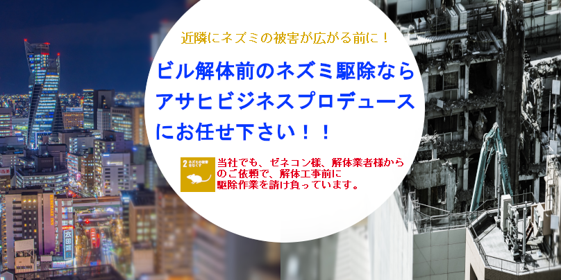 ビル解体ネズミ駆除